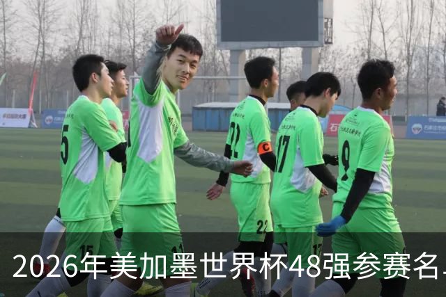 2026年美加墨世界杯48强参赛名单汇总